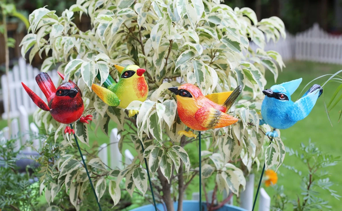 Dlaczego brytyjskie ogrody oszalały na punkcie tych ptaszków za 79 pensów - image 1