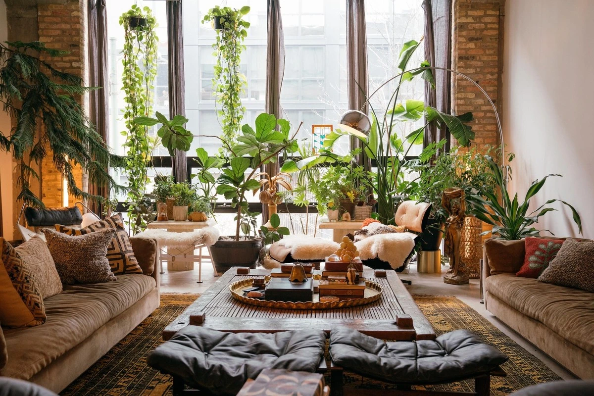 Dlaczego bukiet piwonii na stole to dla wielu większy luksus niż nowy iPhone - image 1