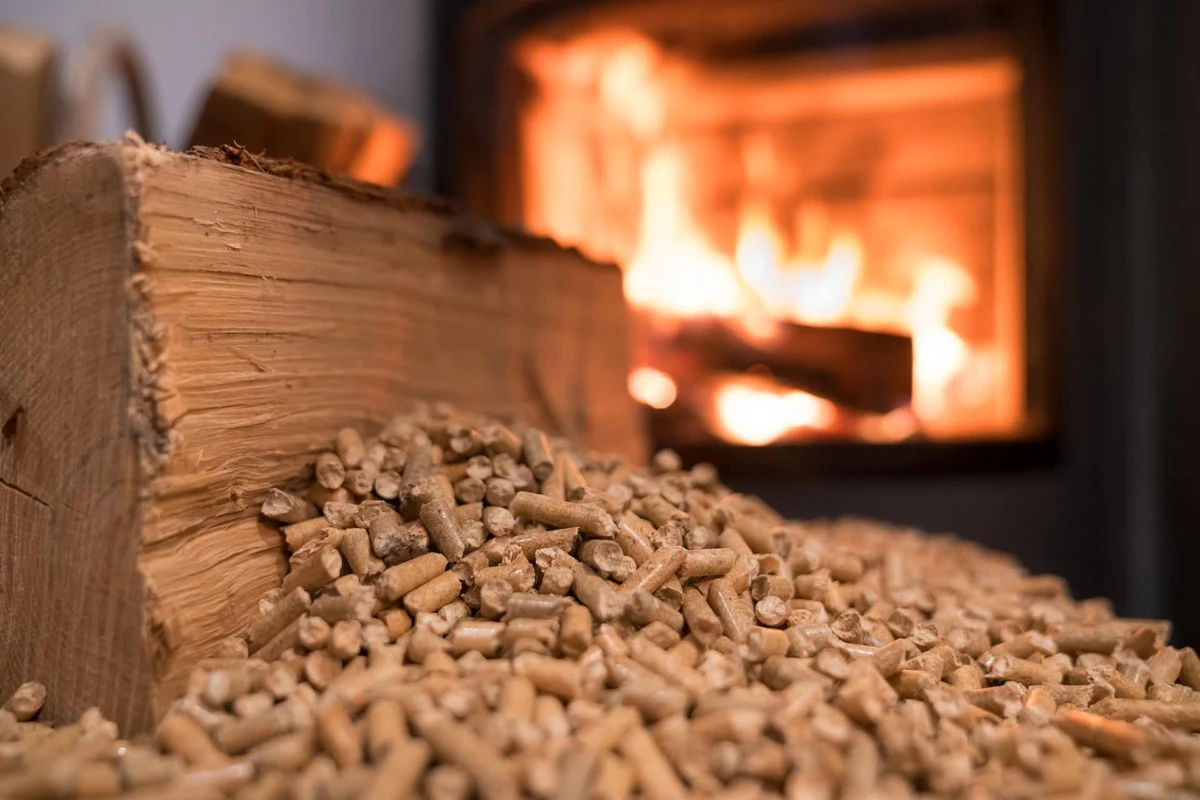 Dlaczego ceny pelletu w lutym przebiły barierę 400 euro za tonę - image 1