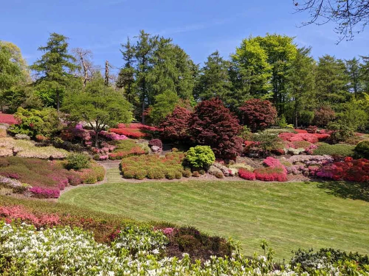 Dlaczego czwarte pokolenie tej brytyjskiej rodziny wciąż nie pozwala deptać trawnika w Surrey Hills - image 1