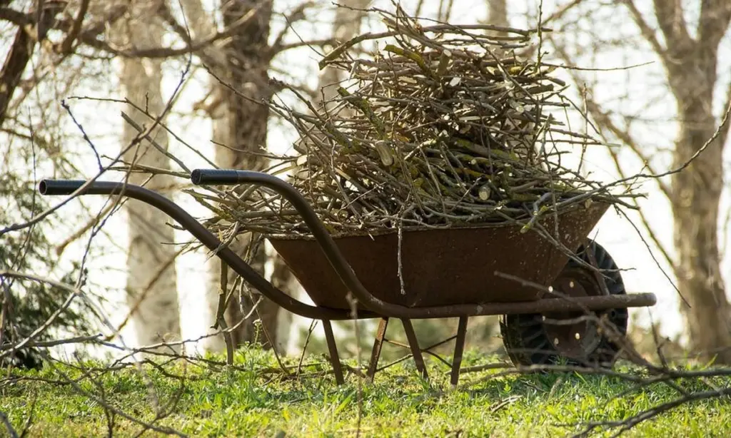 Dlaczego doświadczeni ogrodnicy nigdy nie spalają ściętych gałęzi
