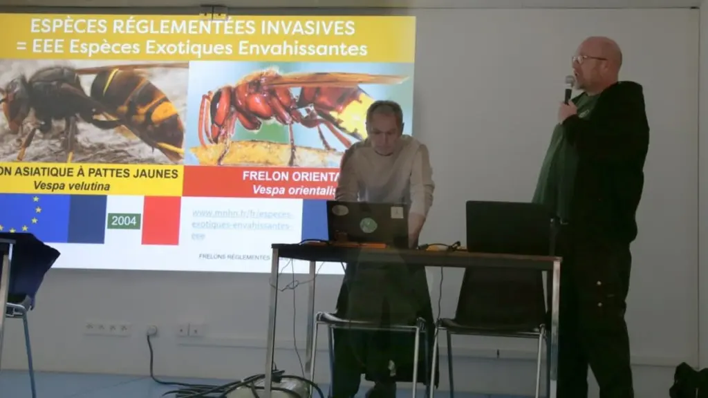 Dlaczego doświadczeni ogrodnicy zawieszają wiosną żółte pułapki z piwem