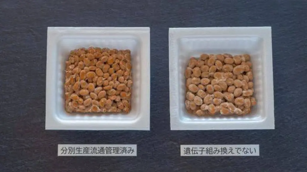 Dlaczego doświadczeni dietetycy wyrzucają saszetkę z sosu z taniego natto