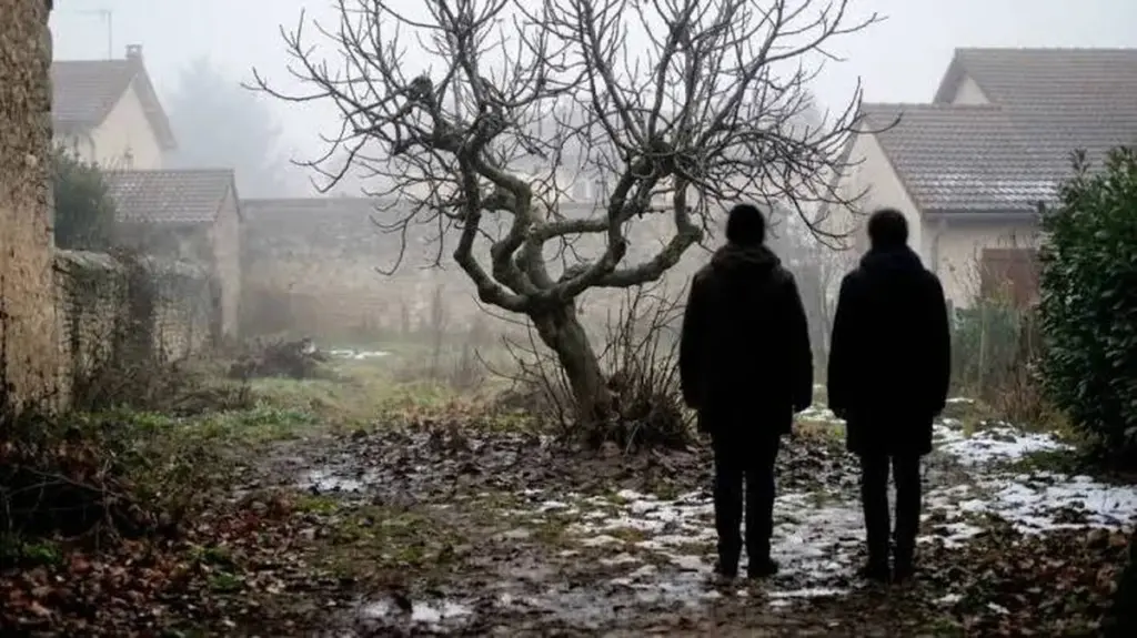 Dlaczego doświadczeni ogrodnicy tną gałązki figowca właśnie w lutym