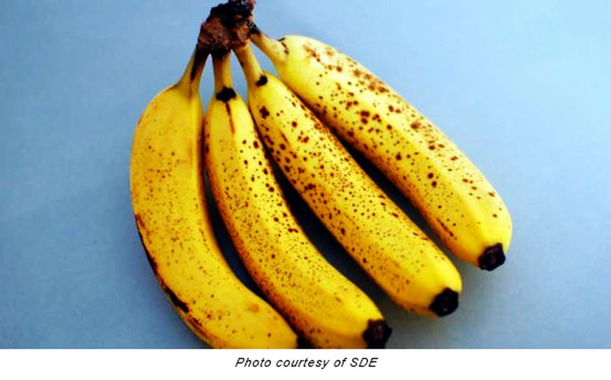 Dlaczego doświadczeni kucharze szukają w sklepach bananów z czarnymi kropkami - image 1