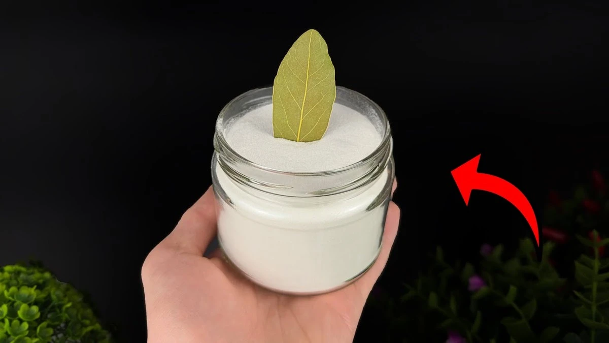 Dlaczego doświadczone gospodynie kładą liście laurowe na sypkiej sodzie - image 1