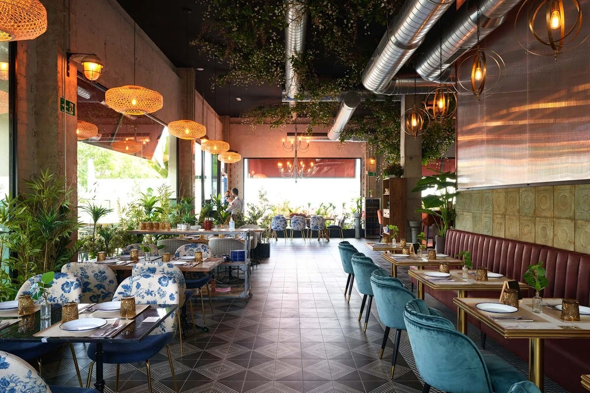 Dlaczego doświadczeni restauratorzy zamieniają jaskrawe kolory na nastrojowe wnętrza „Ulivo” - image 1