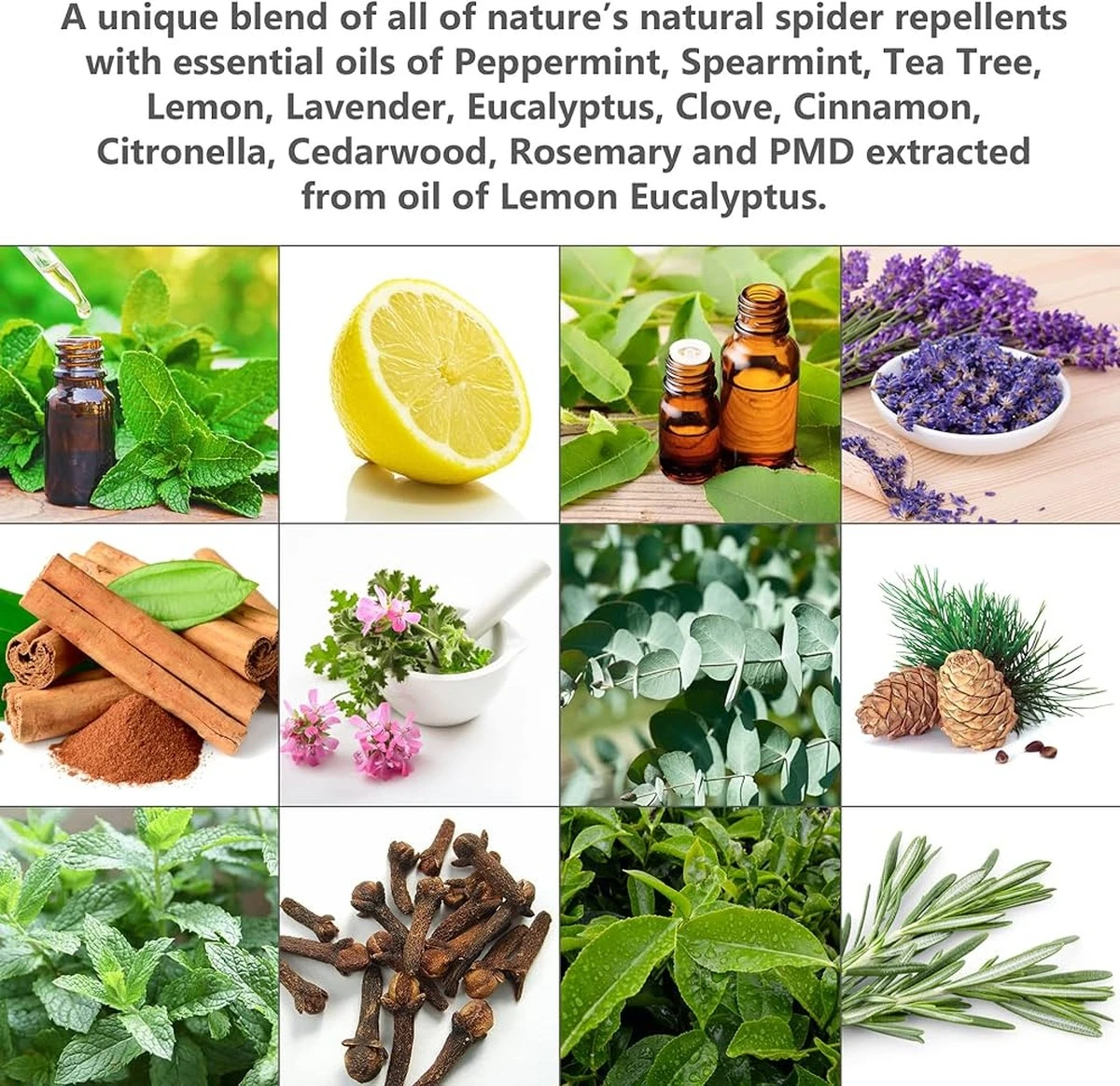 Dlaczego doświadczone gospodynie kładą laski cynamonu na parapetach - image 1