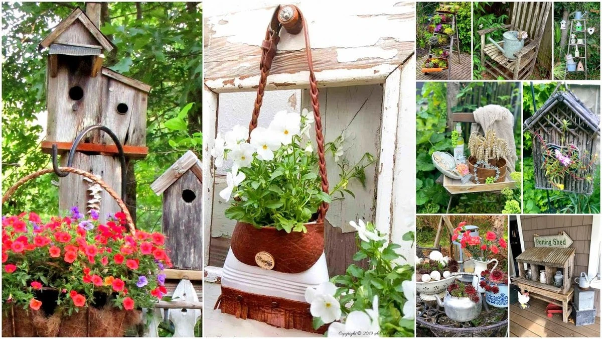 Dlaczego doświadczeni ogrodnicy stawiają starą drabinę przy ścianie domu - image 1