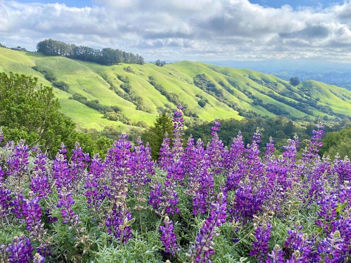Dlaczego doświadczeni wędrowcy omijają popularne trasy i wybierają te trzy szlaki - image 1