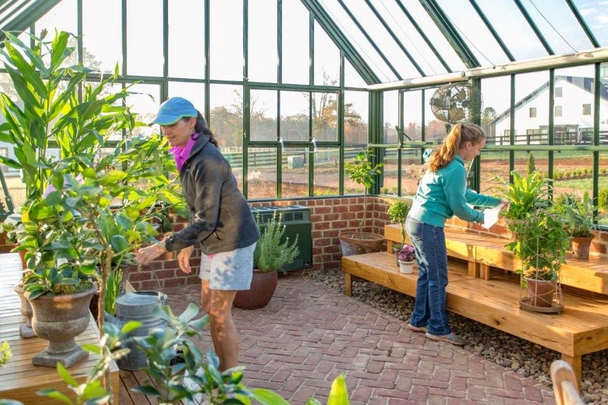 Dlaczego doświadczeni ogrodnicy wybierają tanią folię zamiast drogiego szkła - image 1