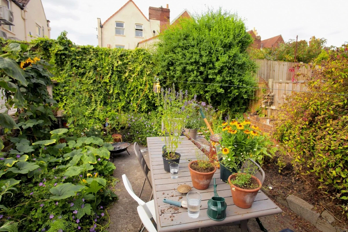 Dlaczego doświadczeni ogrodnicy coraz częściej rezygnują z idealnie przystrzyżonych trawników - image 1