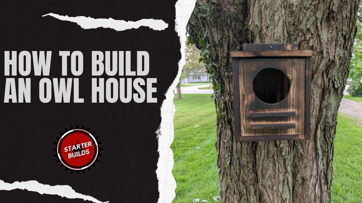 Dlaczego doświadczeni ogrodnicy wieszają puste skrzynki bez patyczka - image 1