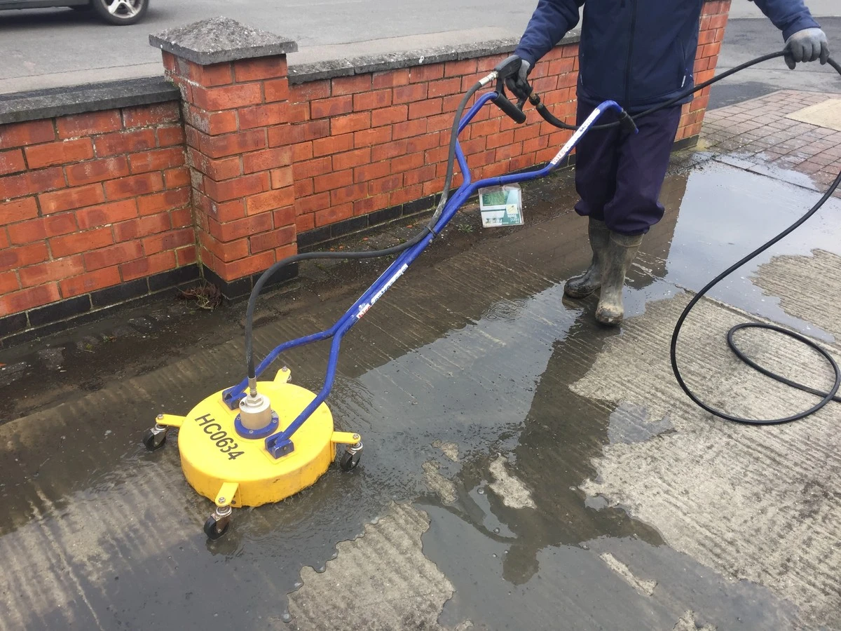 Dlaczego doświadczeni ogrodnicy czekają na luty, by odwiedzić Lidl - image 1