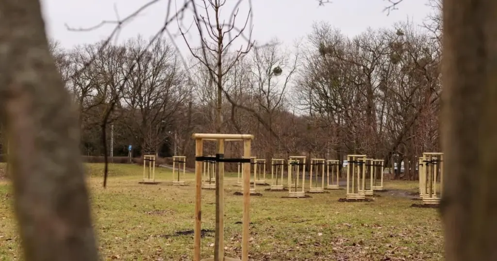 Dlaczego mieszkańcy Wrocławia wkrótce zobaczą magnolie i bambusy pod swoimi oknami