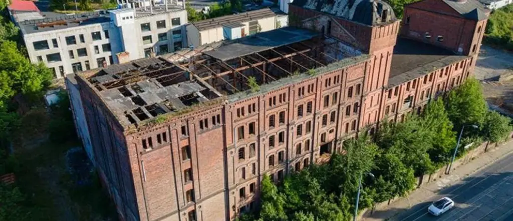 Dlaczego mieszkańcy Szczecina coraz częściej spotykają szczury przy Starej Olejarni