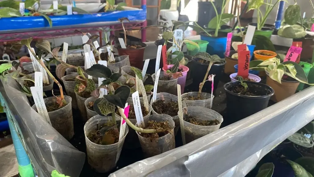 Dlaczego pielęgniarka zamieniła zabytkową rezydencję w sklep z setkami hoi