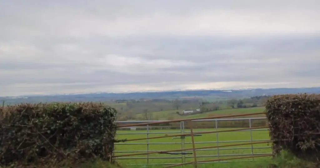 Dlaczego profesjonalni ogrodnicy odkładają nożyce przed 1 marca