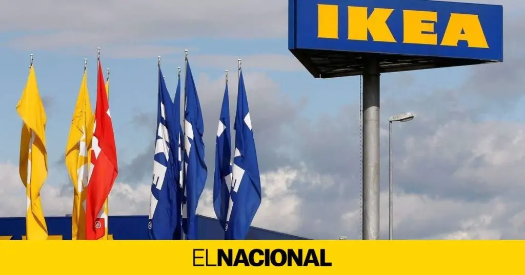 Dlaczego projektanci wnętrz zamieniają plastikowe rolety na bambusowe listewki