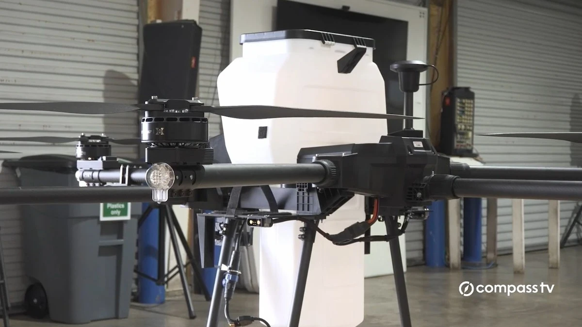 Dlaczego służby w Huelvie masowo ruszają na bagna po ostatnich ulewach - image 1