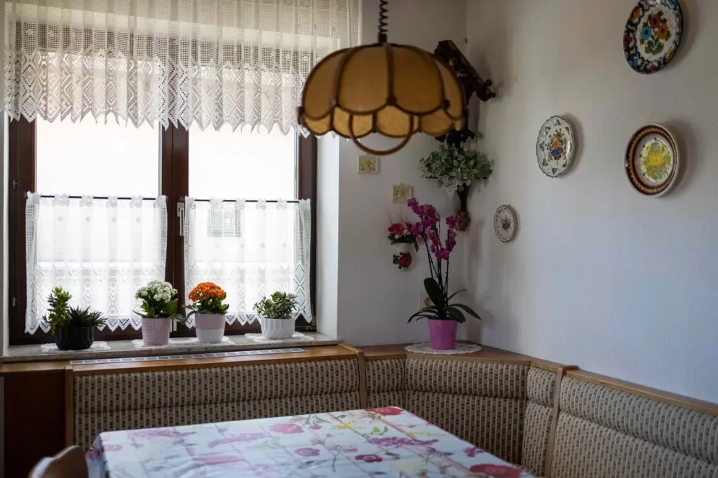 Dlaczego warto mieć w domu rośliny, które hodowała Twoja babcia