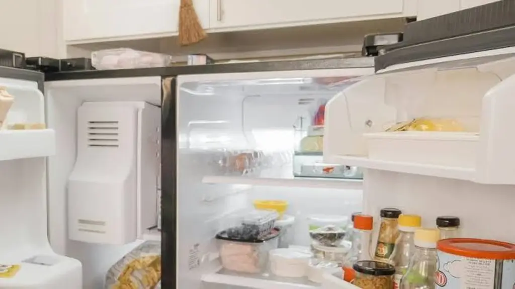 Dlaczego warto trzymać spodek z cytryną w lodówce przez całą noc