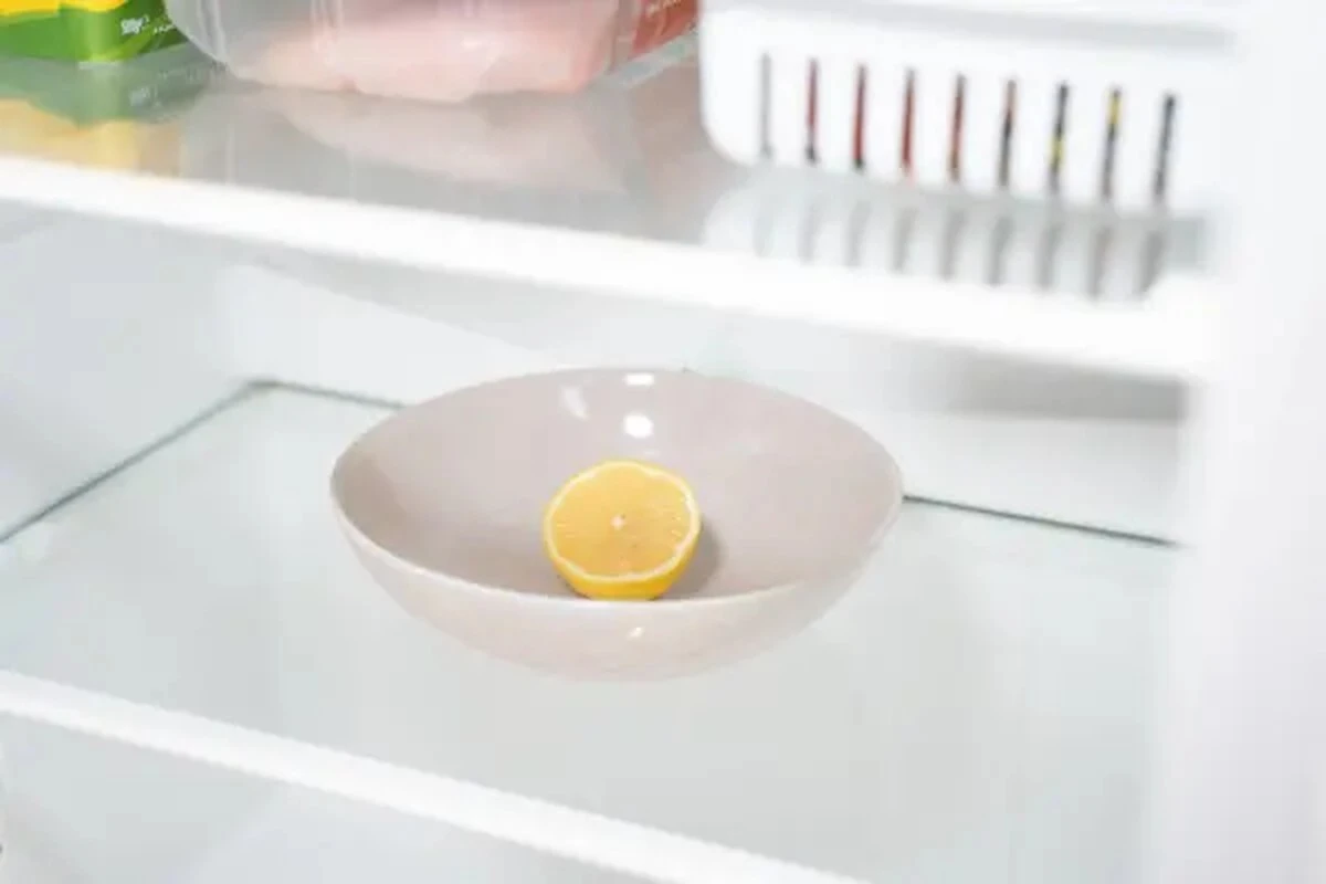 Dlaczego warto trzymać spodek z cytryną w lodówce przez całą noc - image 1