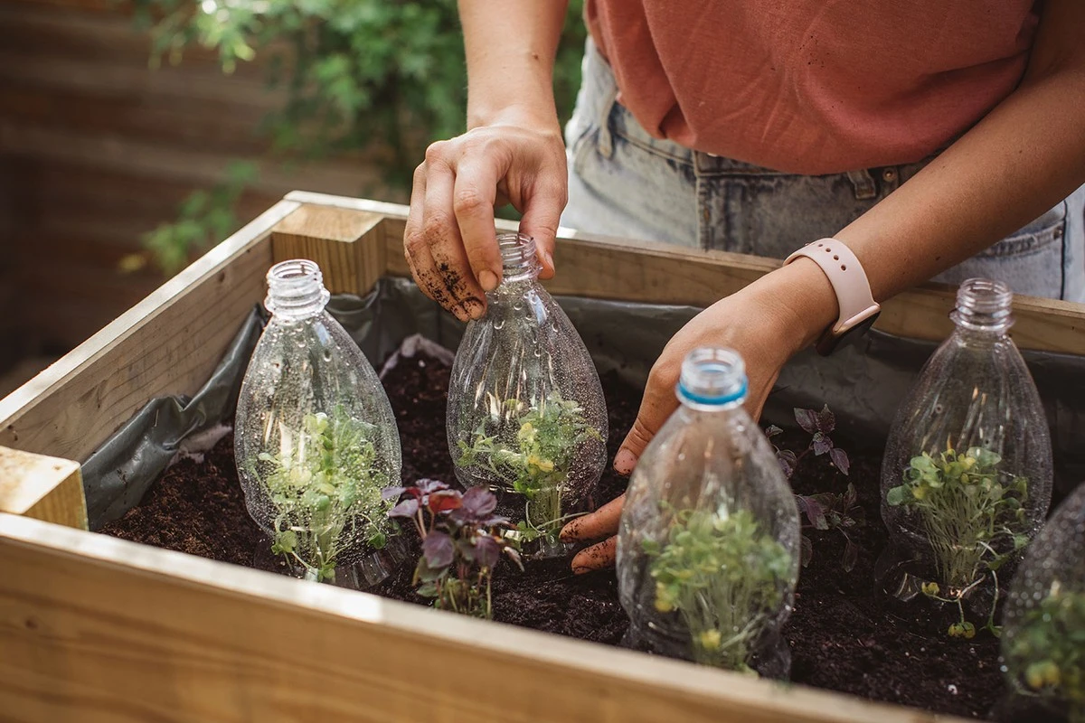 Dlaczego warto włożyć odwróconą butelkę plastikową do ziemi - image 1