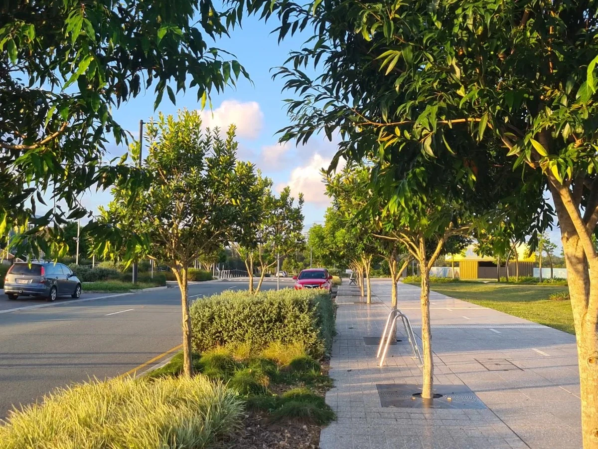 Dlaczego w rzymskim Città Giardino sadzą teraz 120 drzew na jednej ulicy - image 1