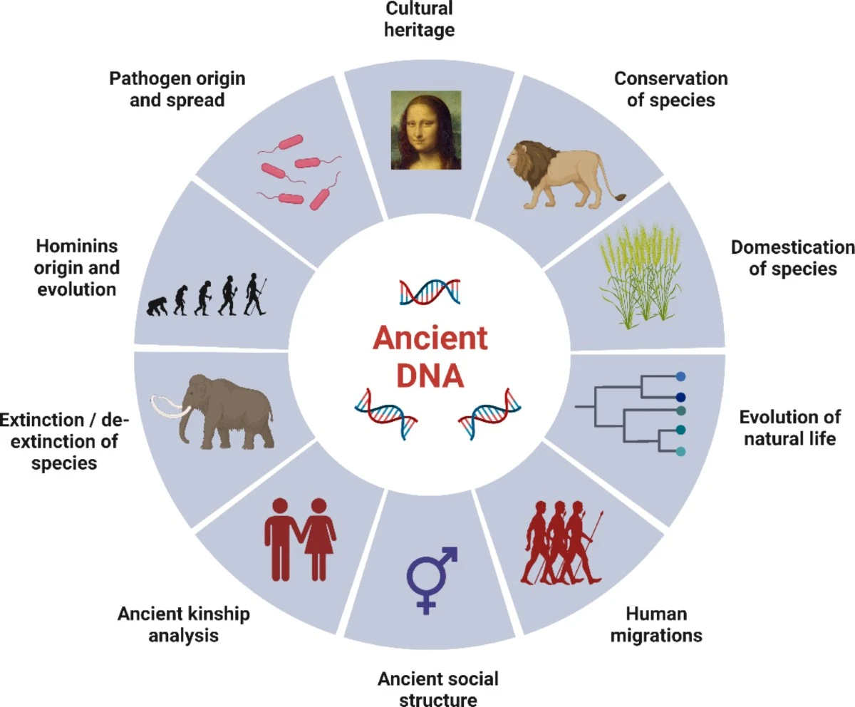 Geny starsze niż życie? Te 3 białka w Twoim ciele to pamiątka sprzed 4 miliardów lat - image 1