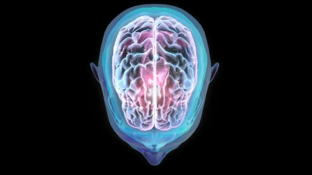 Mózg przesuwa się w kosmosie: Niepokojące odkrycie NASA