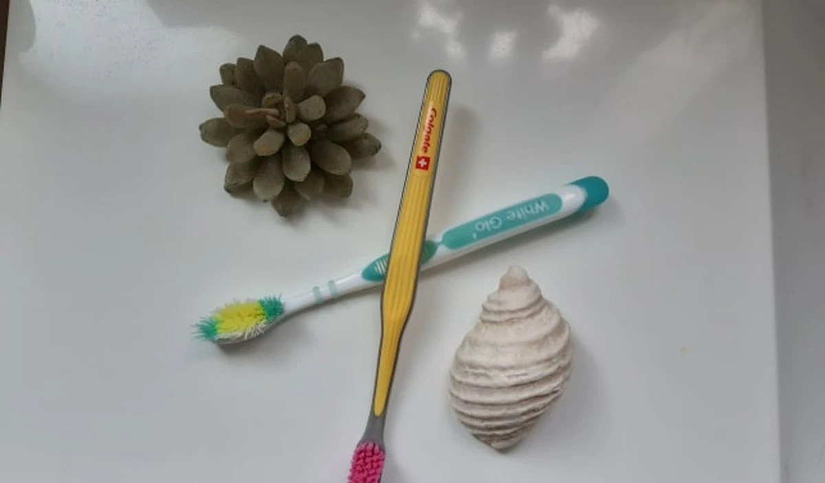 Nigdy nie wyrzucaj starych szczoteczek do zębów: 7 genialnych trików - image 1