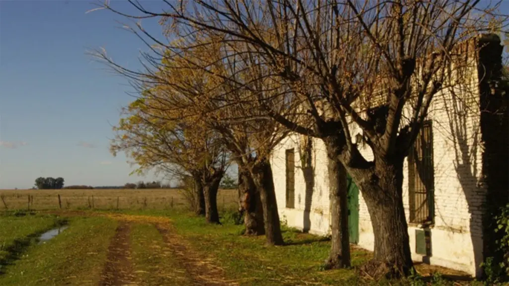 Dlaczego Argentyńczycy z Buenos Aires uciekają do San Andrés de Giles na weekendowy asado