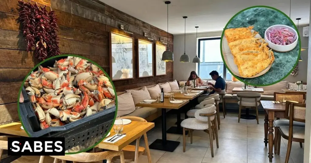 Dlaczego doświadczeni kucharze z Concepción sami zbierają wodorosty na plaży