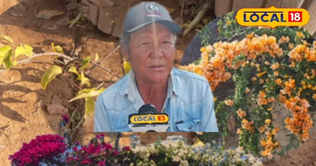 Dlaczego doświadczeni ogrodnicy szczepią trzy kolory bugenwilli na jednym pniu