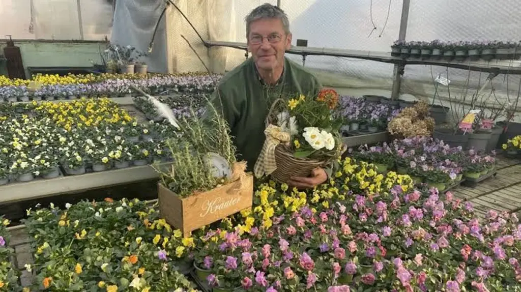 Dlaczego doświadczeni ogrodnicy moczą gałązki wierzby przed sadzeniem drzew