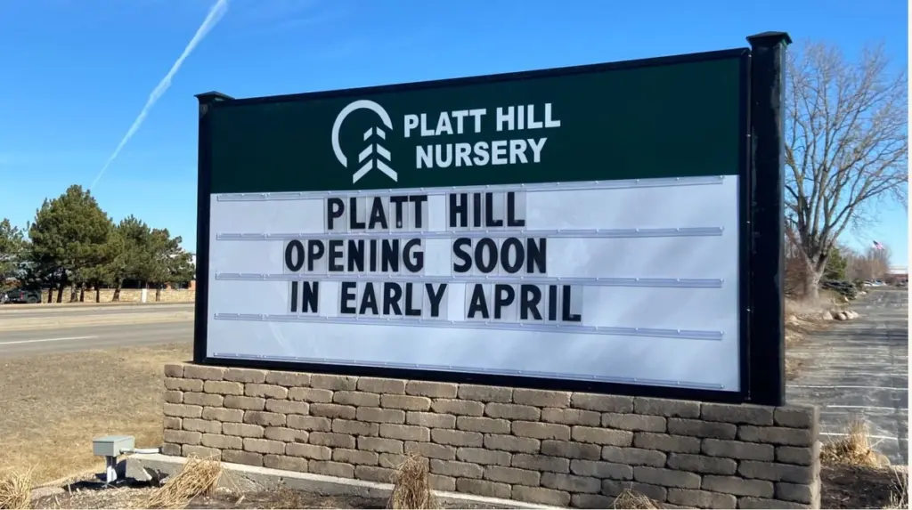 Dlaczego doświadczeni ogrodnicy zawsze odwiedzają szkółki roślin w kwietniu