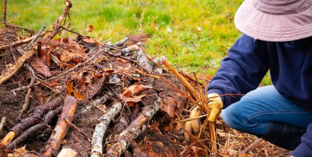 Dlaczego doświadczeni ogrodnicy zakopują stare kłody pod grządkami warzywnymi