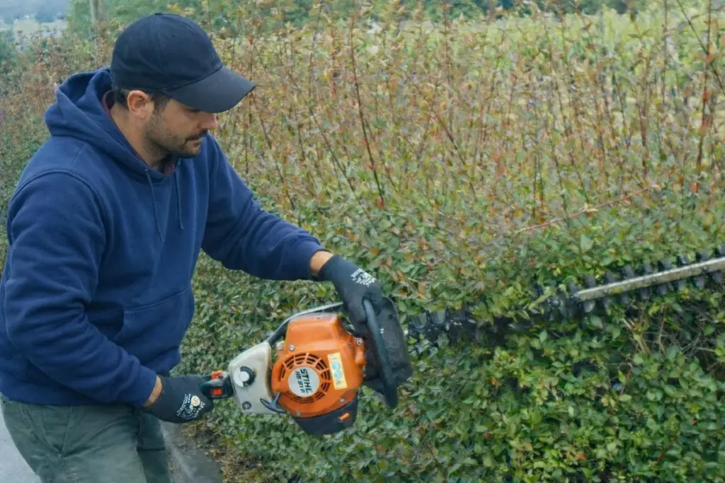 Dlaczego doświadczeni ogrodnicy odkładają nożyce po 15 marca