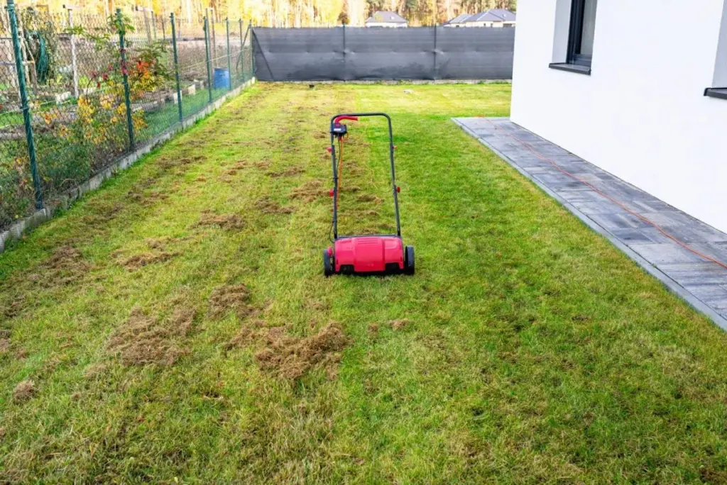 Dlaczego doświadczeni ogrodnicy nacinają trawnik właśnie w marcu
