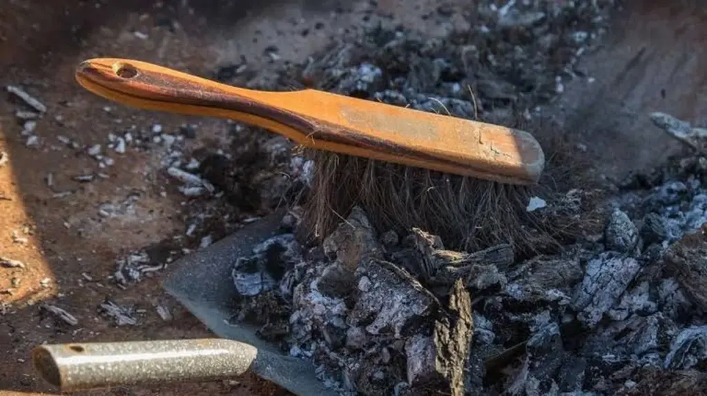 Dlaczego doświadczeni ogrodnicy zawsze sypią popiół pod wybrane rośliny