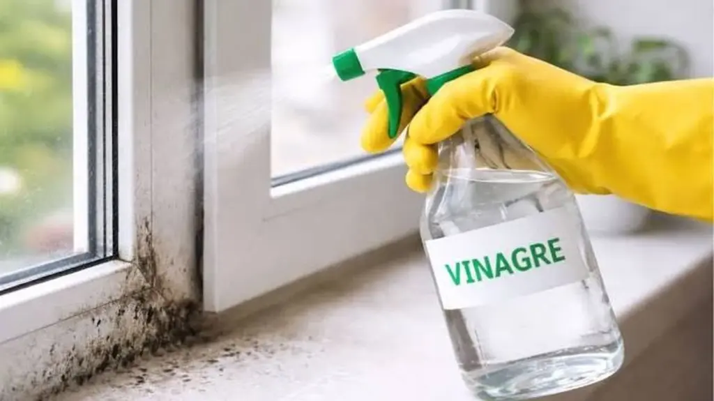 Dlaczego doświadczone gospodynie spryskują ramy okienne octem