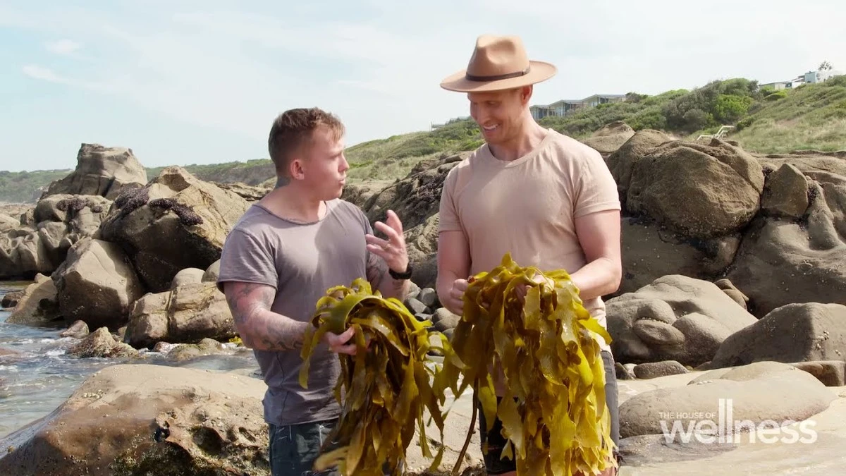 Dlaczego doświadczeni kucharze z Concepción sami zbierają wodorosty na plaży - image 1