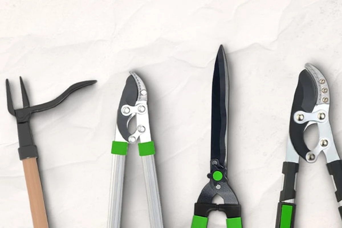 Dlaczego doświadczeni ogrodnicy tną róże dokładnie wtedy, gdy kwitną forsycje - image 1