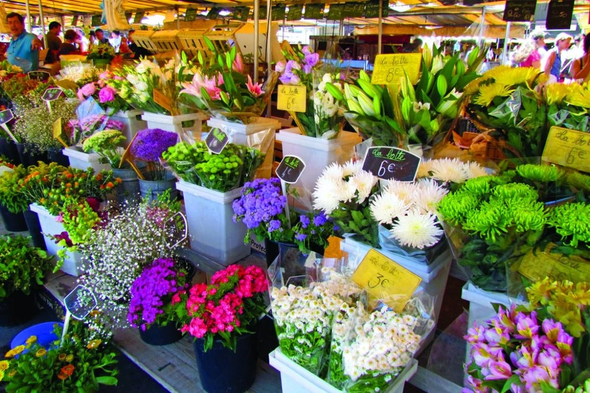 Dlaczego doświadczeni ogrodnicy zawsze odwiedzają targ w Larchant - image 1