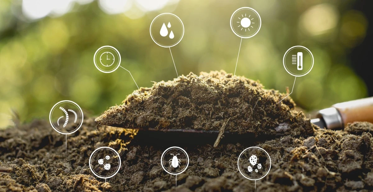 Dlaczego doświadczeni ogrodnicy sprawdzają temperaturę kompostu przed wiosennym siewem - image 1