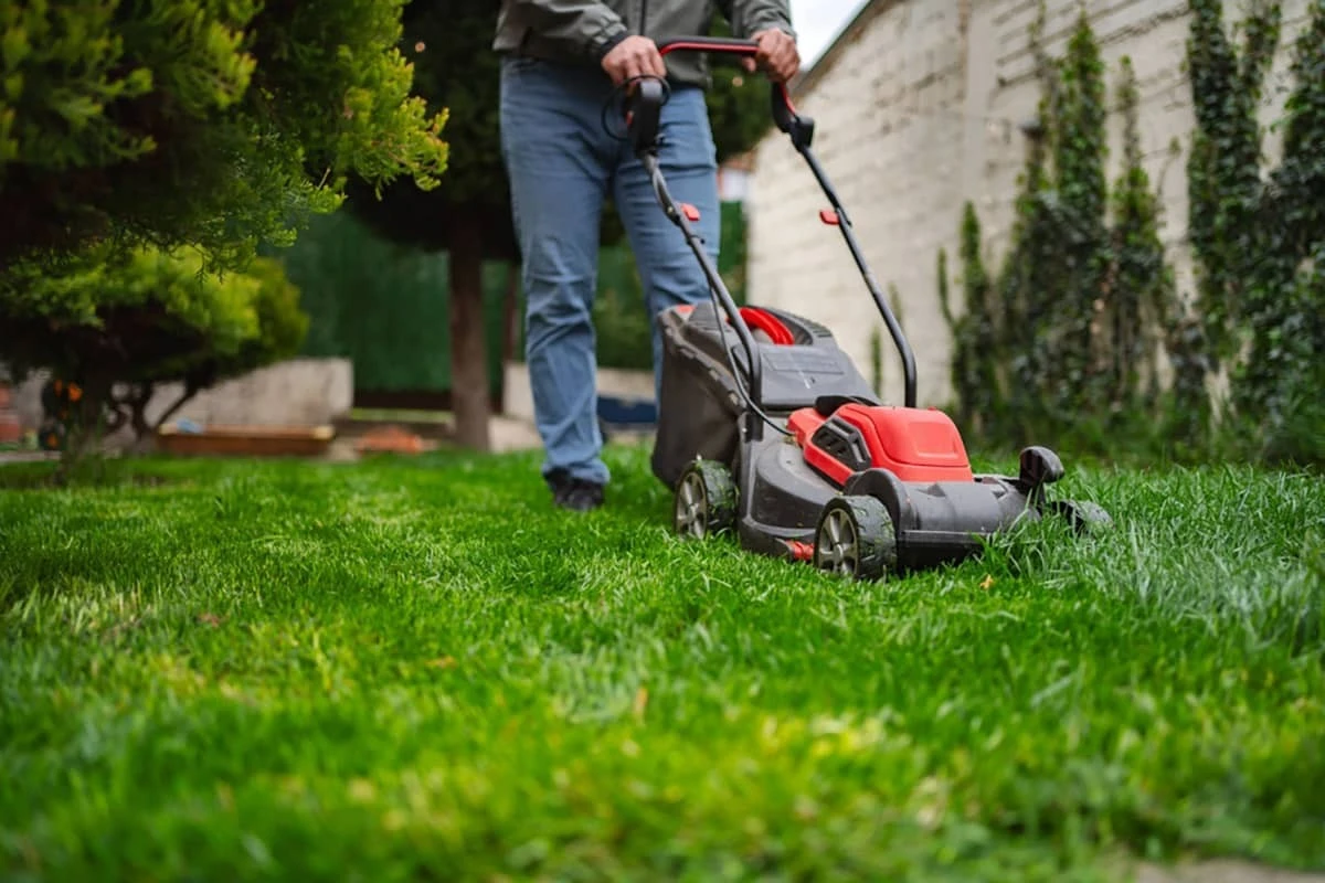 Dlaczego doświadczeni ogrodnicy czekają z pierwszym koszeniem do momentu, aż gleba osiągnie 7 stopni - image 1