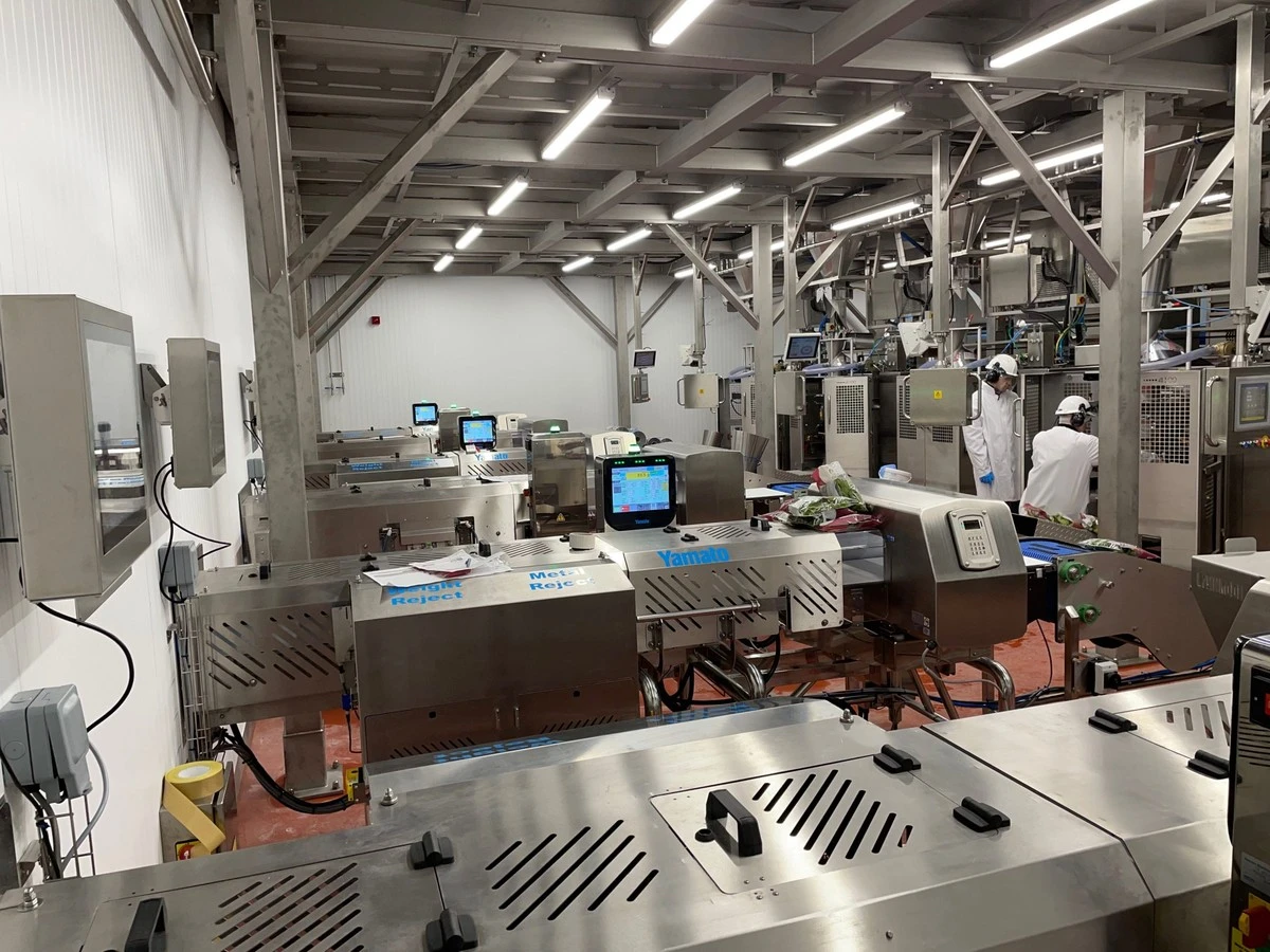 Dlaczego gotowe sałatki z marketu zachowują świeżość przez tydzień - image 1