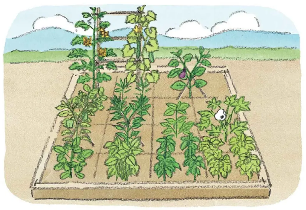 Dlaczego japońscy ogrodnicy dzielą ziemię na 16 kwadratów o boku 50 cm