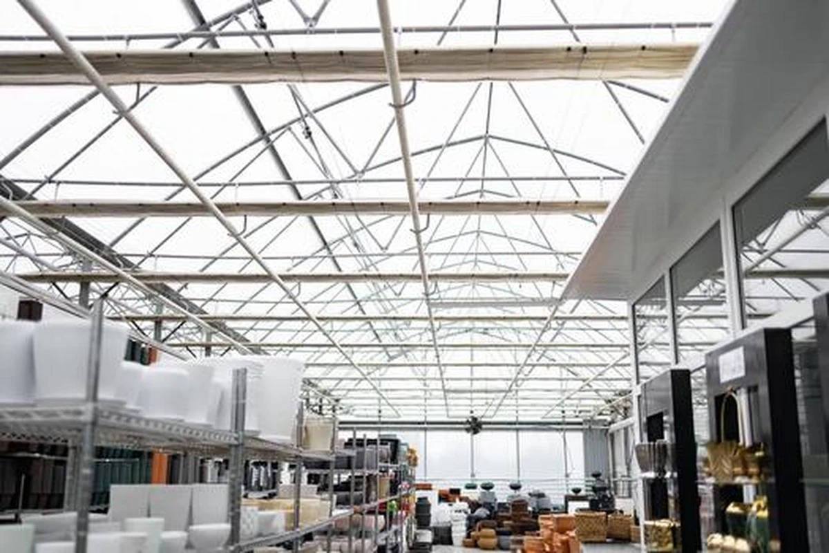 Dlaczego kultowe Cindy’s znika z mapy po 30 latach działalności - image 1